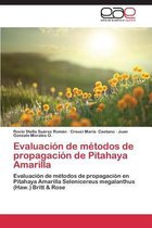 Evaluación de métodos de propagación de Pitahaya Amarilla
