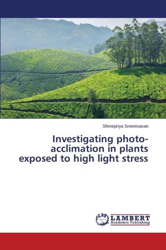 Investigating photoacclimation in plants exposed to high light stress