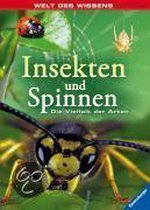 Insekten und Spinnen
