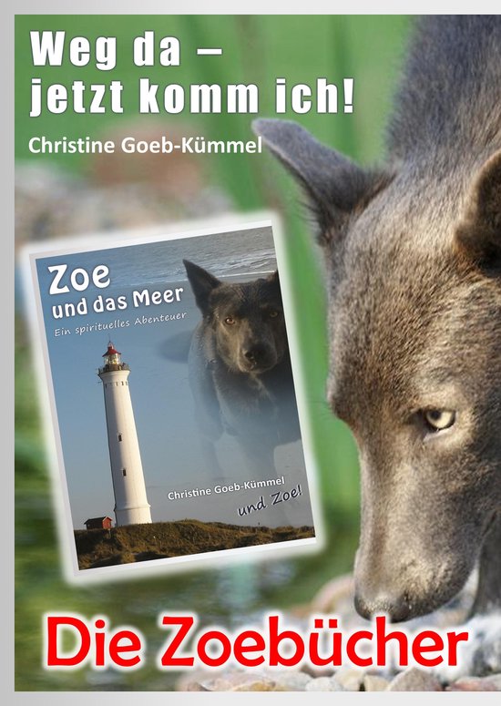 Die Zoebücher - cover