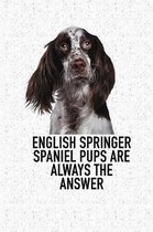 English Springer Spaniel Pups Are Always the Answer