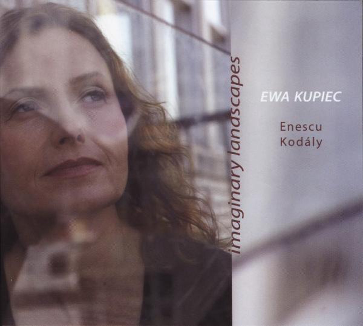 Ewa Kupiec - Imaginary Landscapes