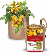 Kweekset BIO tomaat 'Yellow Pearshaped'