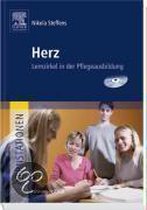 Lernstationen: Herz