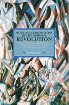 Working-Class Politics in the German Revolution