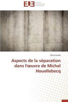 Aspects de la S�paration Dans L' Uvre de Michel Houellebecq