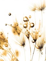 Bloemen Fotobehang - Goud - 275 x 206 cm