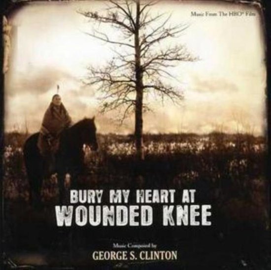 bury me at wounded knee book