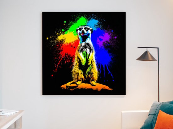 Colorful meerkat burst | Colorful Meerkat Burst | Kunst - centimeter op | Foto op | Colorful meerkat burst | Colorful Meerkat Burst | Kunst - centimeter op | Foto op | Dibond | 20 × 20 cm