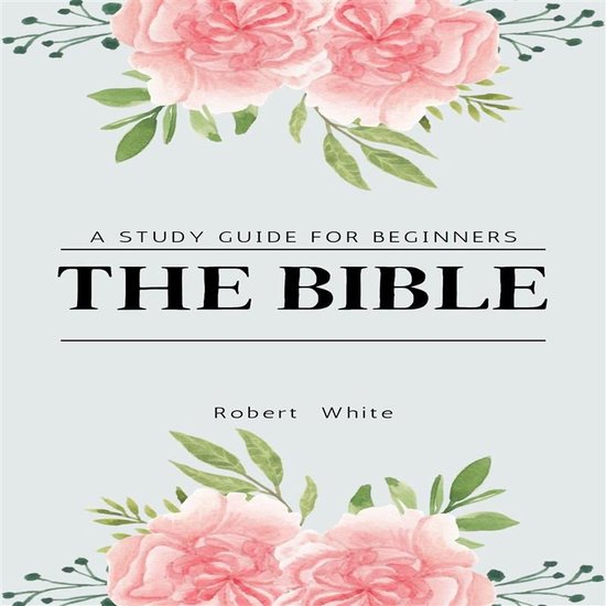 The Bible - cover