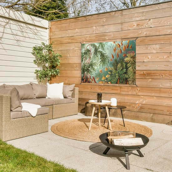 Posters de jardin extérieur Maîtres anciens - Art - Muscinae - Haeckel - 90x60 cm - Toile de jardin - Affiche extérieure