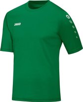 Jako Team SS T-shirt Heren Sportshirt performance - Maat M  - Mannen - groen