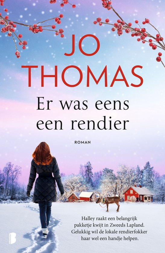 Er was eens een rendier - cover