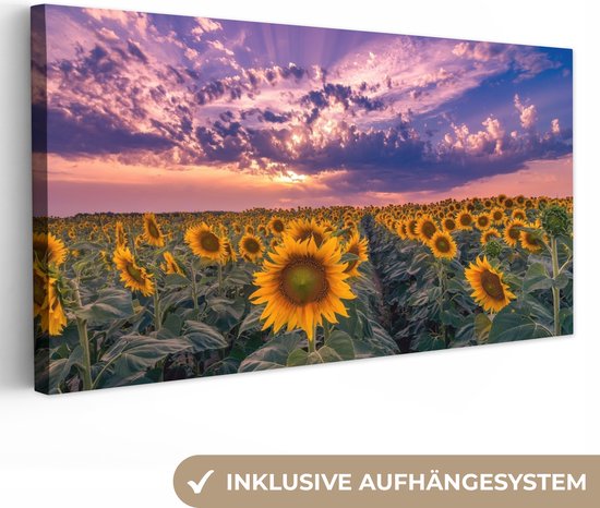 Toile - Peinture fleurs - Tournesol - Soleil - Nuages ​​- Soir - Décoration murale - Photo sur toile - Canvasdoek - 160x80 cm - Salon