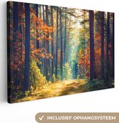 Canvas - Schilderij natuur - Bos - Bladeren - Natuur - Herfst - Wanddecoratie - Foto op canvas - 180x120 cm - Slaapkamer - Interieur