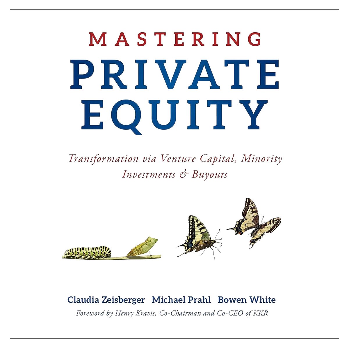 Omslag van Mastering Private Equity
