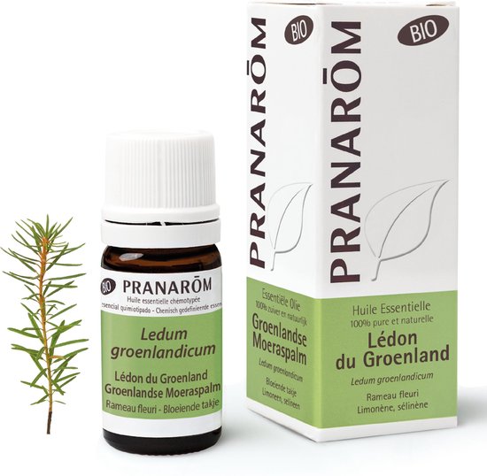 Pranarôm Etherische Olie Groenlandse Moeraspalm Bio 5 olie
