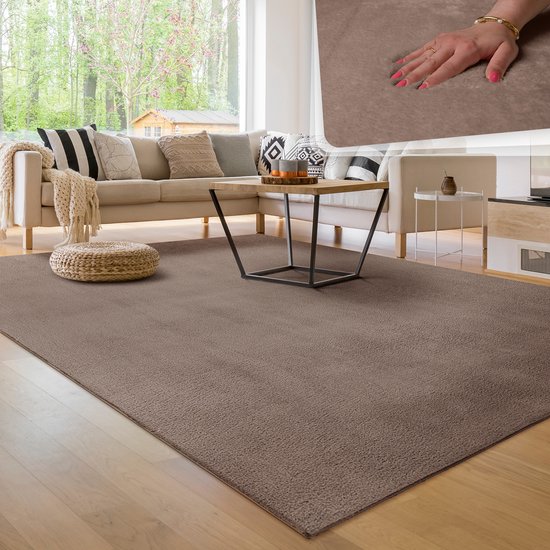 Paco Home Moderne woonkamer tapijt kortpolig wasbaar zacht uni effect bont antislip 300x400 cm