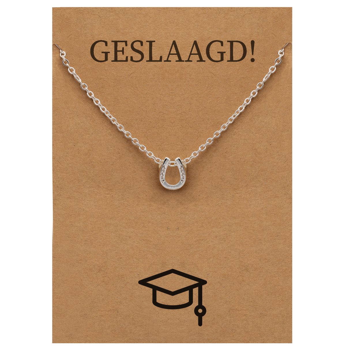 Cadeau Ketting: Geslaagd! - Hoefijzer voor Geluk Sieraad - Zilverkleurig - Gefeliciteerd - Pax Amare