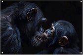 Apen tuinposter - Dieren tuinposter - Tuinposters Chimpanzee - Muurdecoratie tuin - Tuin schilderij - Poster tuinposter 90x60 cm