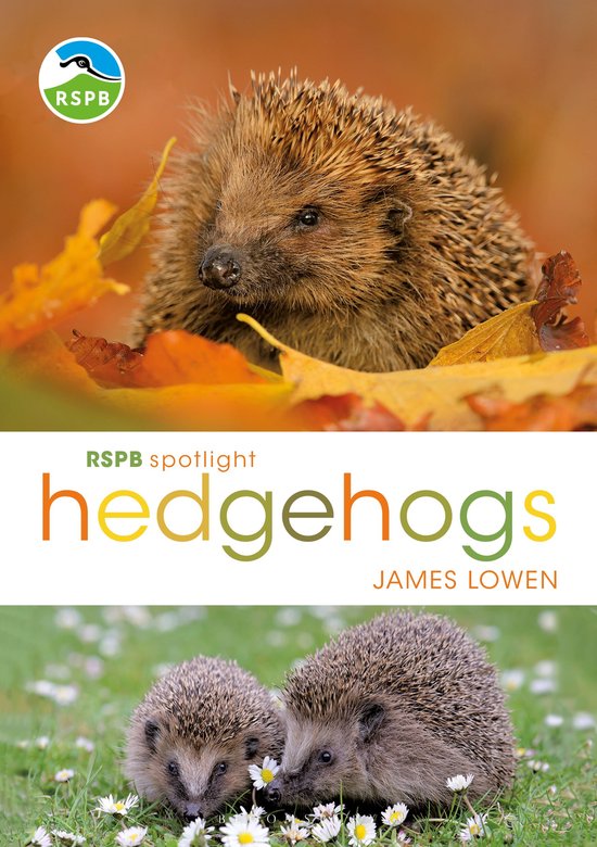 Boekomslag van 'RSPB Spotlight Hedgehogs' met een egel tussen herfstbladeren en twee egels in het gras.