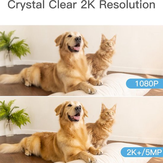 Hondencamera - Honden Camera - Huisdiercamera - Indoor Camera - Huisdier Camera - Petcam - Camerabewaking - Beveiligingscamera - Beveiligingscamera voor binnen - Beveiligingscamera binnen - Bewakingscamera - Bewakingscamera voor binnen van Hondencamera — afbeelding 5