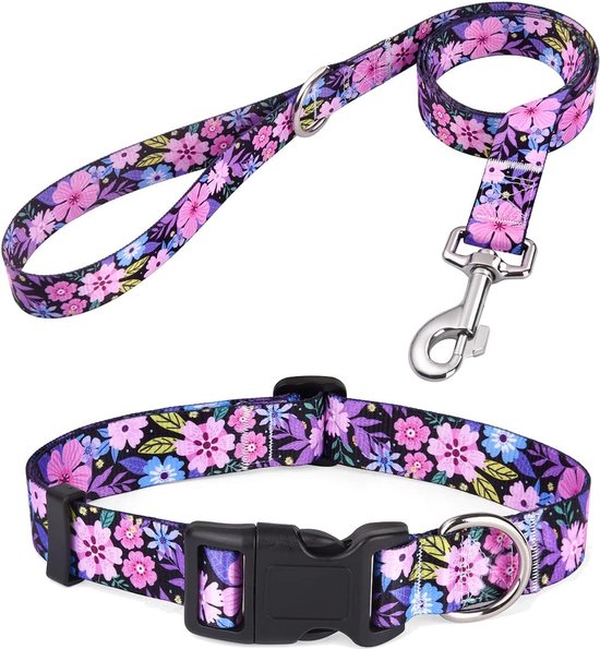 Beste leren halsband voor een hond | 10 keer vergelijken Beste leren halsband voor een hond | 10 keer vergelijken