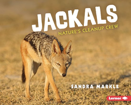 Animal Scavengers in Action - Jackals