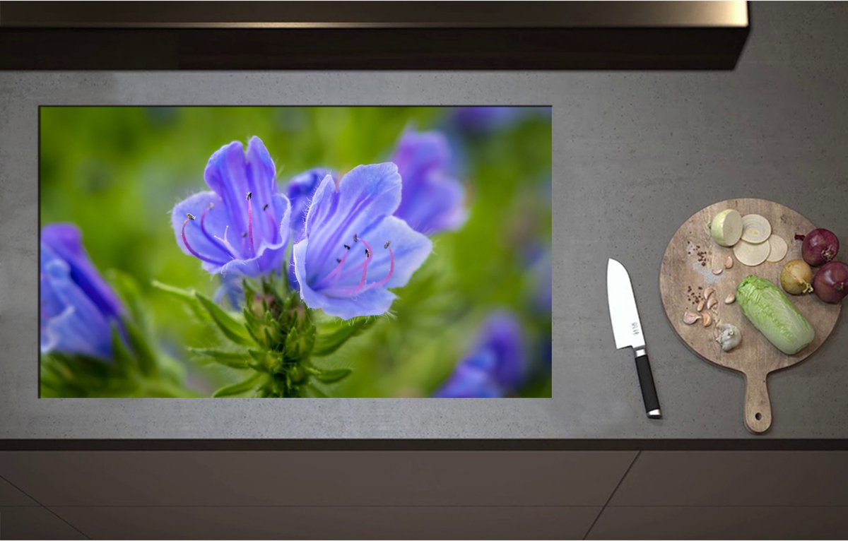 Inductieplaat Beschermer - Close Up van Blauwe Slangenkruid Bloemen - 90x52 cm - 2 mm Dik - Inductie Beschermer - Bescherming Inductiekookplaat - Kookplaat Beschermer van Wit Vinyl