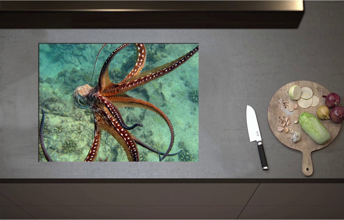Inductieplaat Beschermer - Bruine octopus zwemt door de zee heen - 70x52 cm - 2 mm Dik - Inductie Beschermer - Bescherming Inductiekookplaat - Kookplaat Beschermer van Zwart Vinyl