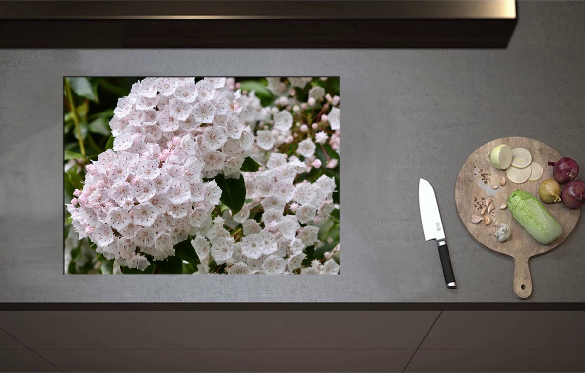 Inductieplaat Beschermer - Breedbladige lepelboom bloemen wit en roze gekleurd - 71x51 cm - 2 mm Dik - Inductie Beschermer - Bescherming Inductiekookplaat - Kookplaat Beschermer van Zwart Vinyl