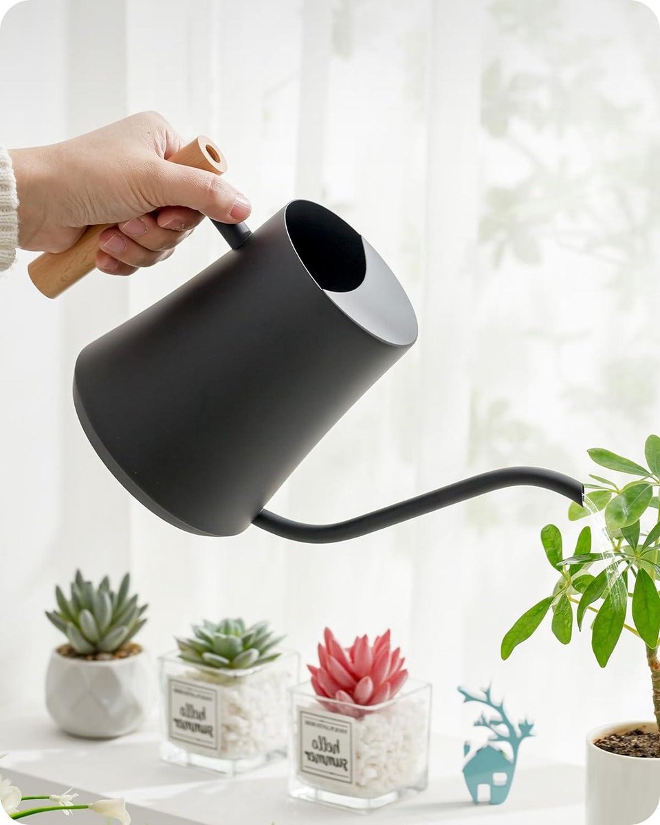 Roestvrijstalen huisbonsai gieter met houten handvat - 1 liter - zwart - tuingieter met lange uitloop voor potplanten - binnen gebruik