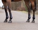 Paardenbenen met zwarte peesbeschermers met witte accenten op een grijze ondergrond.