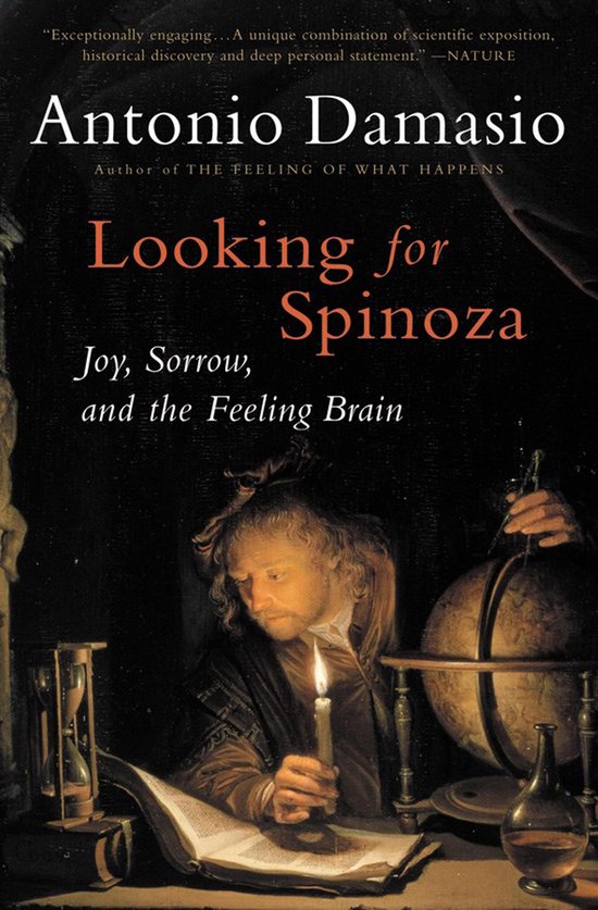 Looking for Spinoza - cover
