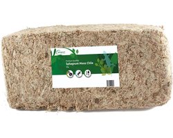 Sphagnum mos voor terrariums en orchideeën - Ideaal natuurlijk substraat voor planten