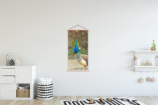 Porte-affiche avec affiche - Affiche scolaire - Paons - Vogels - Ressorts - 60x120 cm - lattes vierges
