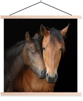 Posterhanger incl. Poster 60x60 cm - Schoolplaat - Paarden - Liefde - Bruin - Textielposter - Blanke latten
