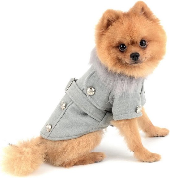 Pethiy Warme winterjas, waterdichte winterjas voor hond met harnasleiband, outdoorjas voor huisdier, hond,herfst- en winterkleren voor middelgrote en kleine hond - rood - M
