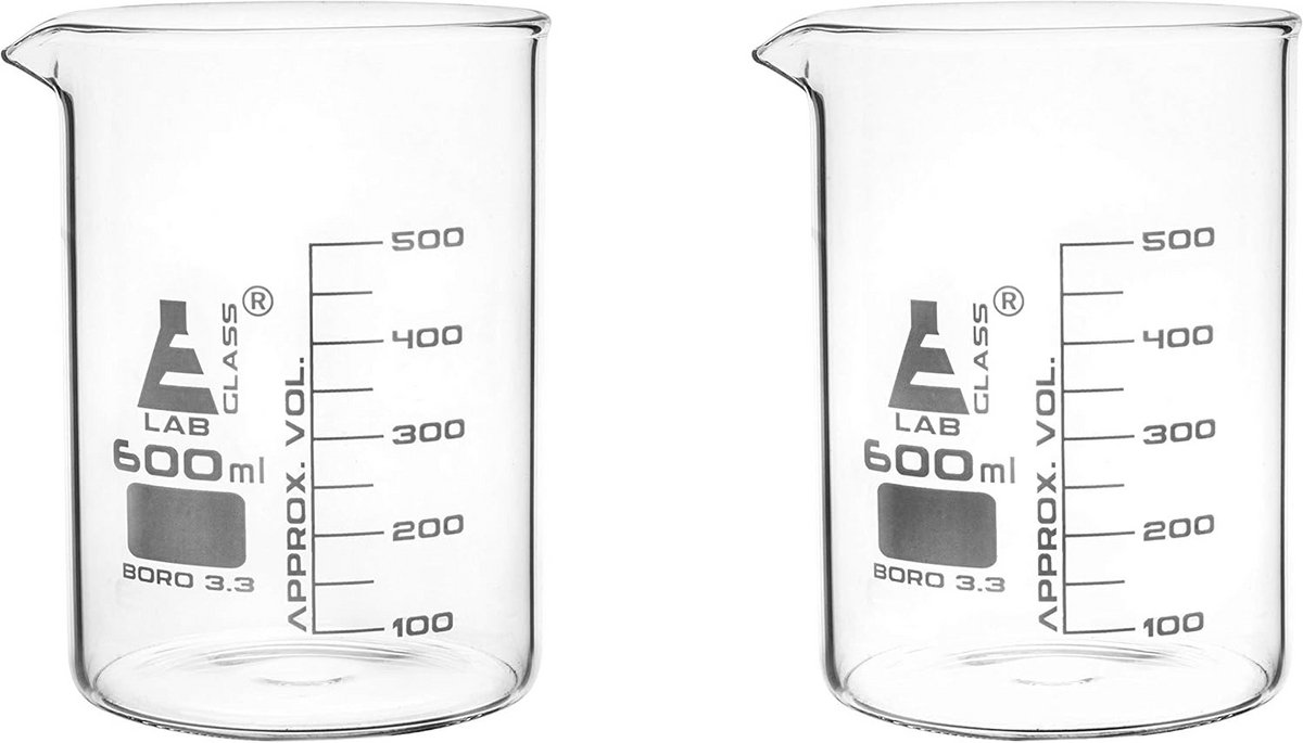 Set van 2 Premium Bierglazen (20 oz) van Dik Borosilicaatglas