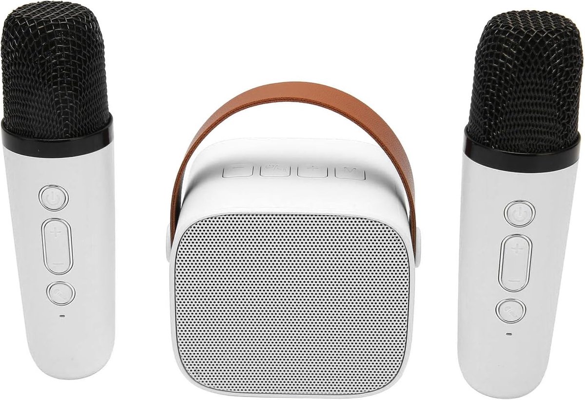 Mini Karaoke Machine, Draagbare Bluetooth Stereo Luidspreker met 2 Draadloze Microfoons, Geschikt voor Kinderen en Volwassenen, Draagbare Microfoon voor Familievergaderingen en Karaoke