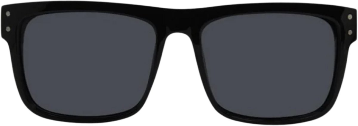 I-sea V Gepolariseerde Zonnebril Transparant Smoke Polarized Man
