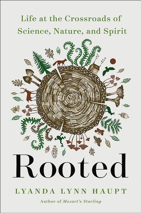 Rooted - cover