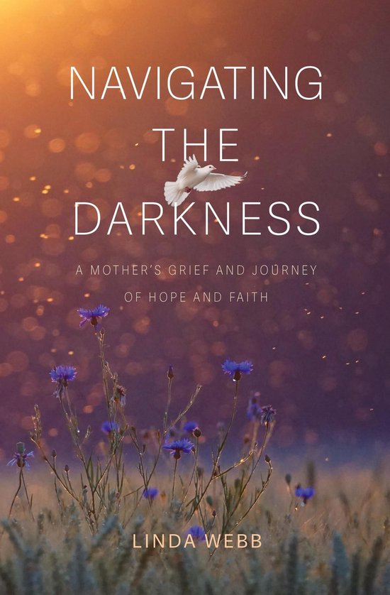 Navigating the Darkness - cover
