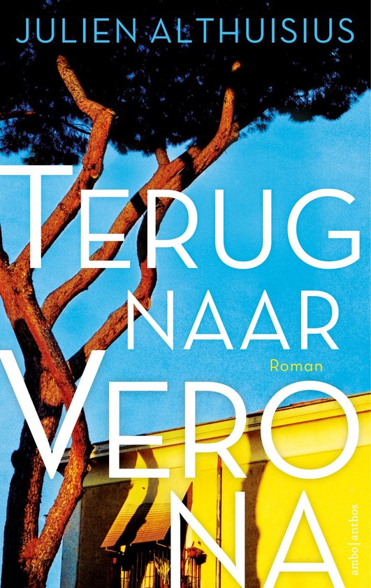 Terug naar Verona - cover