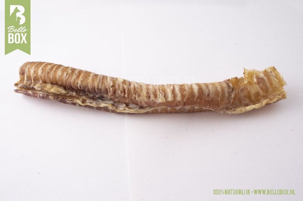 Runderluchtpijp 30cm (2x) - Natuurlijke Hondensnacks - Bellobox