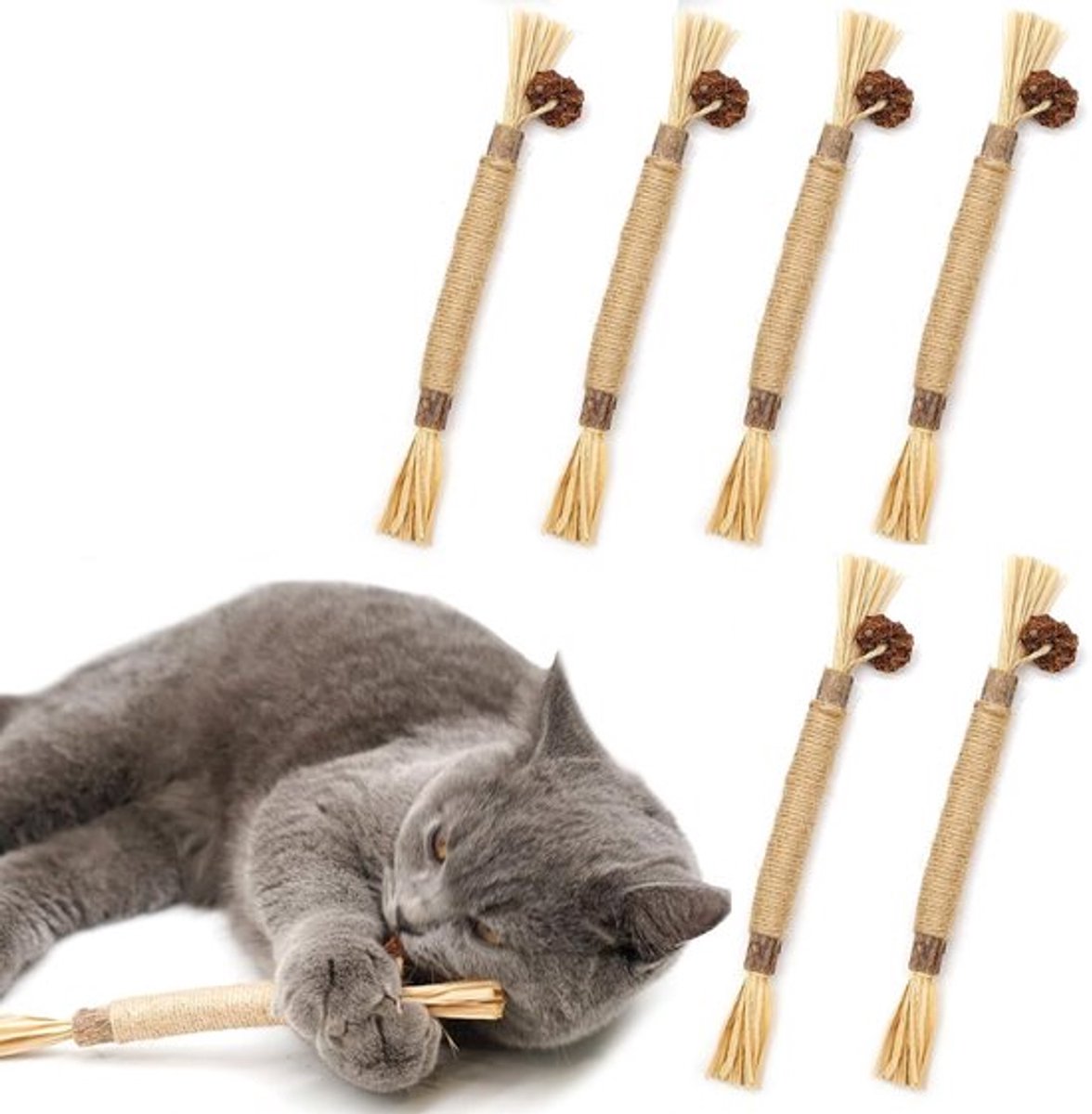 Katzenminze