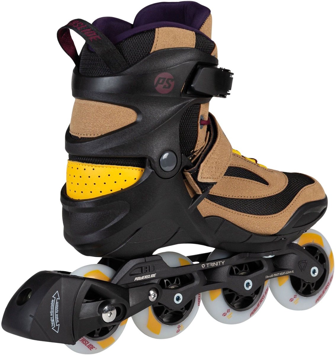 Bruin