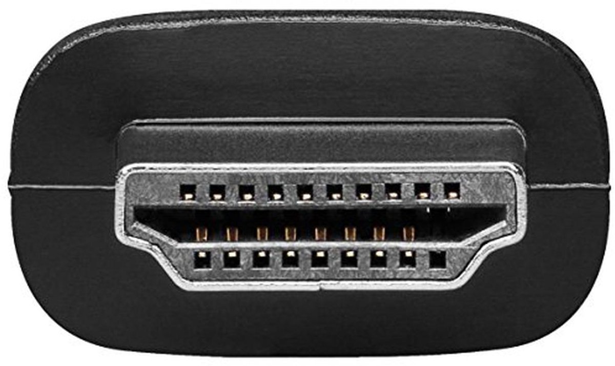 HDMI naar DVI-D Adapter - Vernikkelde HDMI Stekker (Type A)