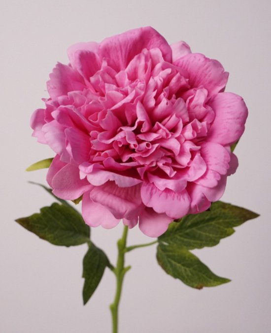 Volle pioenroos - roze - zijden bloemen - 3 stelen - onderhoudsvrij - 56 cm - kunstbloemen