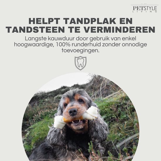 Cocker Spaniël met een botje in zijn bek, buiten op een heuvel.